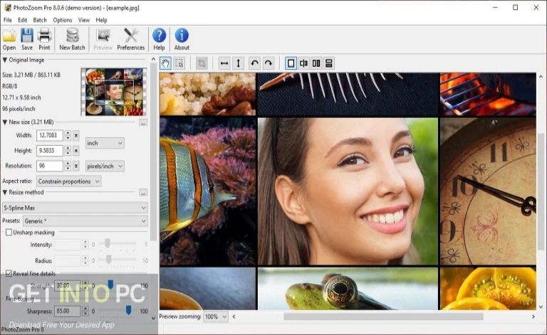 Benvista PhotoZoom Classic 2024 Download