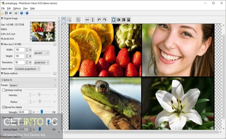Benvista PhotoZoom Classic 2024 Full Download