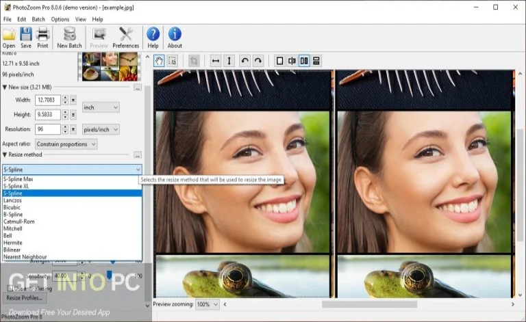 Benvista PhotoZoom Classic 2024 getintopc