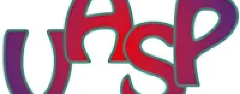 Vienna Ab initio Simulation Package (VASP) 2024 Free Download